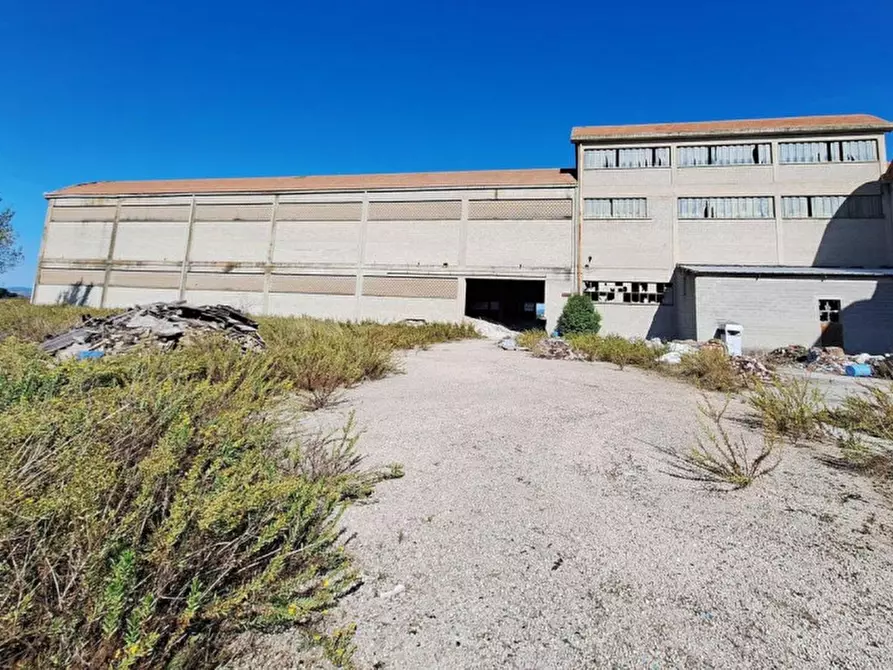 Immagine 7 di Capannone industriale in vendita  in Via Assisi, N. 104 a Cannara