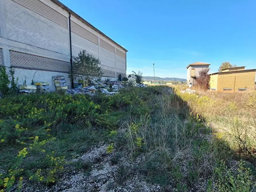 Immagine 13 di Capannone industriale in vendita  in Via Assisi, N. 104 a Cannara