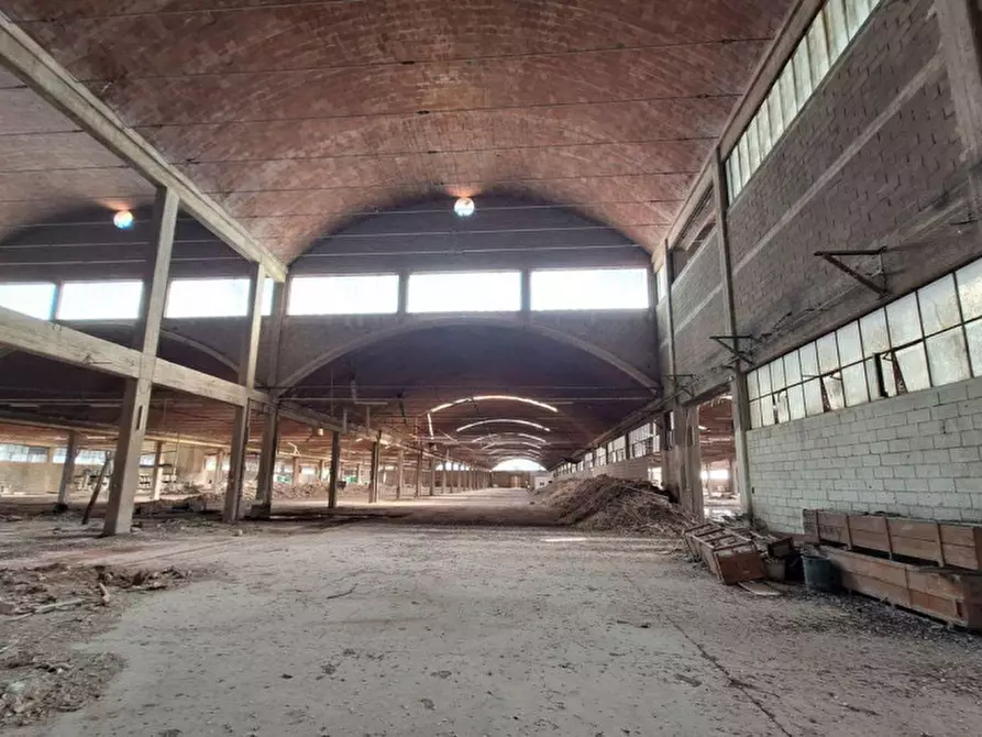 Immagine 14 di Capannone industriale in vendita  in Via Assisi, N. 104 a Cannara