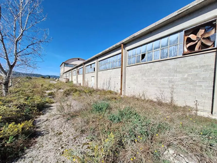 Immagine 15 di Capannone industriale in vendita  in Via Assisi, N. 104 a Cannara