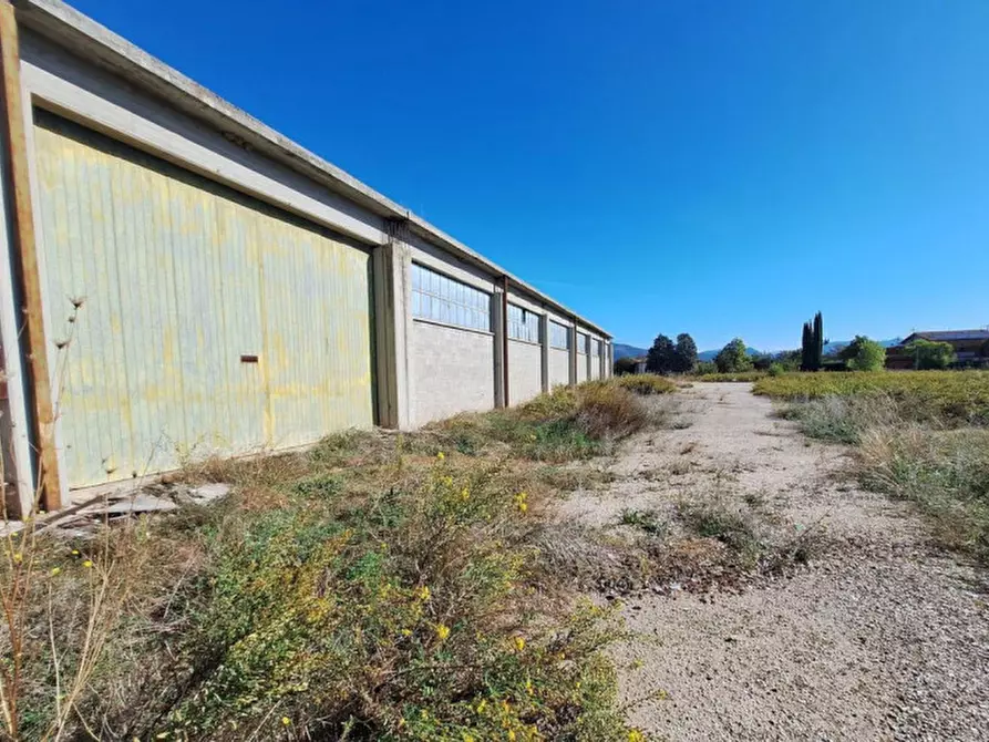 Immagine 17 di Capannone industriale in vendita  in Via Assisi, N. 104 a Cannara
