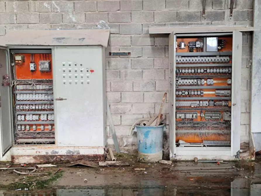 Immagine 18 di Capannone industriale in vendita  in Via Assisi, N. 104 a Cannara