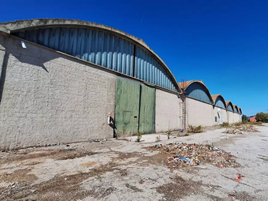 Immagine 19 di Capannone industriale in vendita  in Via Assisi, N. 104 a Cannara