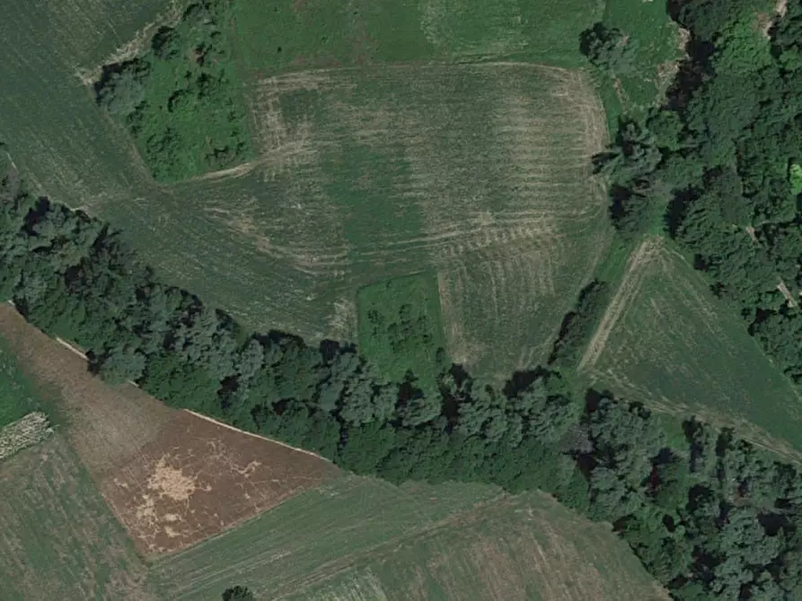 Immagine 3 di Terreno in vendita  in SP 471, N. snc a Sant'anatolia Di Narco