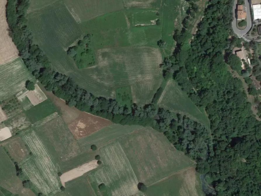 Immagine 4 di Terreno in vendita  in SP 471, N. snc a Sant'anatolia Di Narco