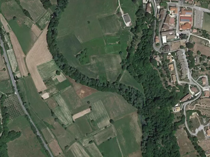 Immagine 5 di Terreno in vendita  in SP 471, N. snc a Sant'anatolia Di Narco