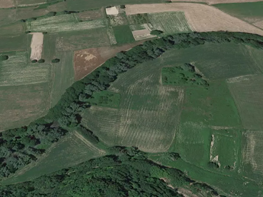 Immagine 8 di Terreno in vendita  in SP 471, N. snc a Sant'anatolia Di Narco