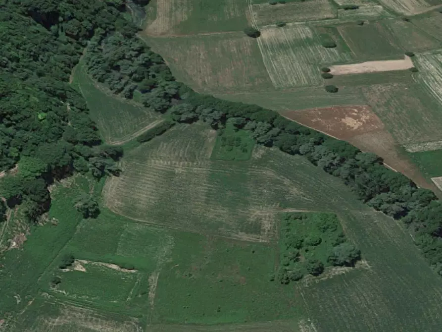 Immagine 9 di Terreno in vendita  in SP 471, N. snc a Sant'anatolia Di Narco