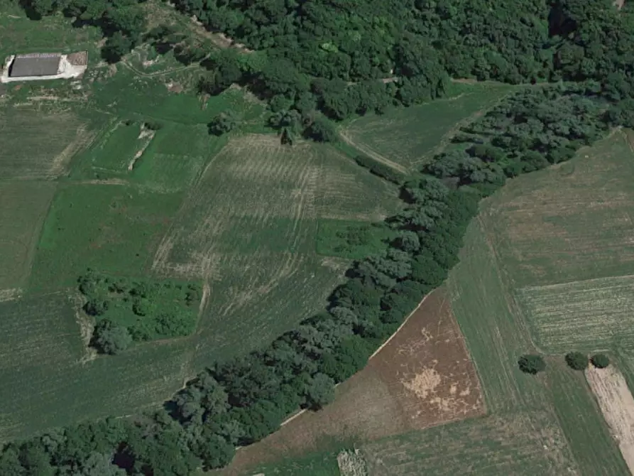 Immagine 10 di Terreno in vendita  in SP 471, N. snc a Sant'anatolia Di Narco