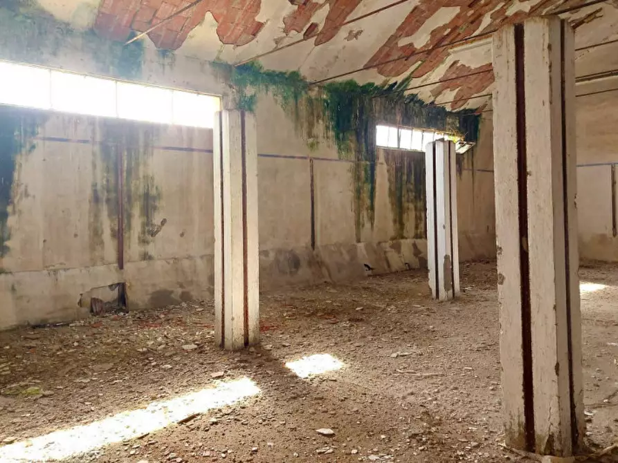 Immagine 16 di Capannone industriale in vendita  in Via Is Bangius, N. 23-25 a Tuili