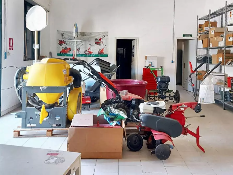 Immagine 10 di Capannone industriale in vendita  in Via Roma, N. 45 a Giba