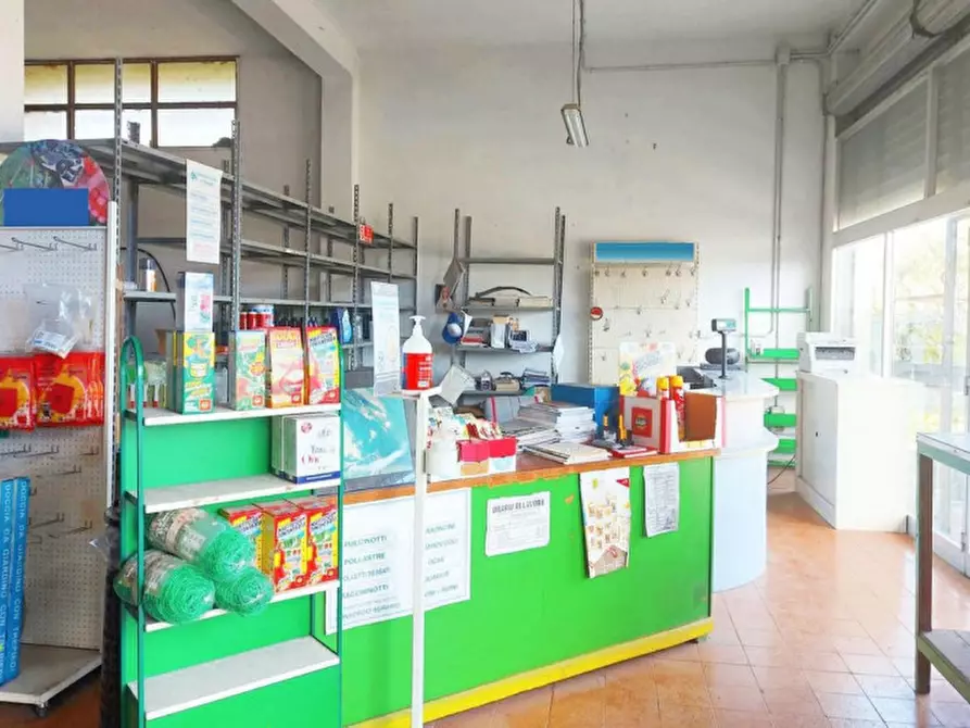 Immagine 4 di Negozio in vendita  in Via Stazione, N. 3 a Villamassargia