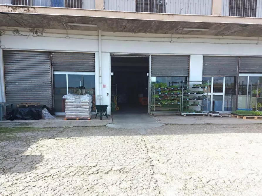 Immagine 5 di Negozio in vendita  in Via Stazione, N. 3 a Villamassargia