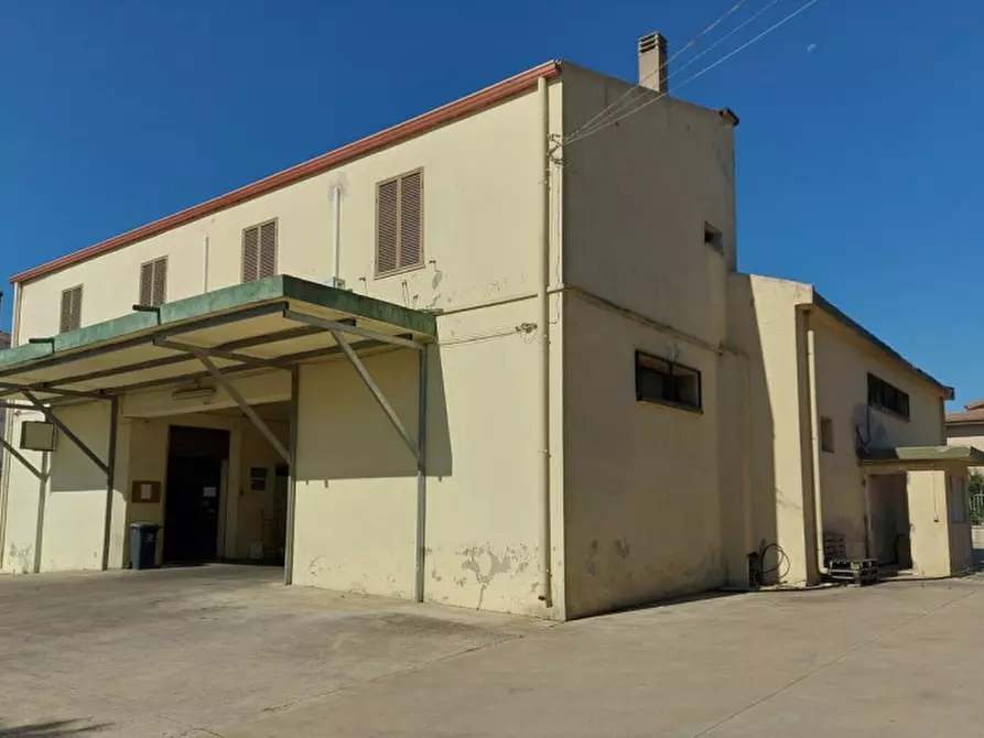 Immagine 3 di Capannone industriale in vendita  in Piazza Grazia Deledda, N. 15-17 a Mandas
