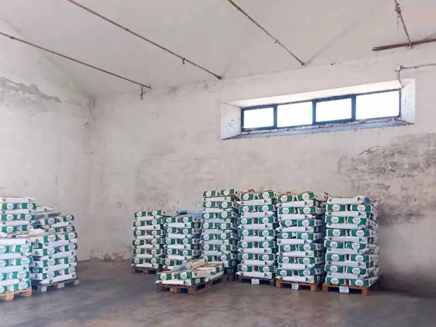 Immagine 4 di Capannone industriale in vendita  in Piazza Grazia Deledda, N. 15-17 a Mandas