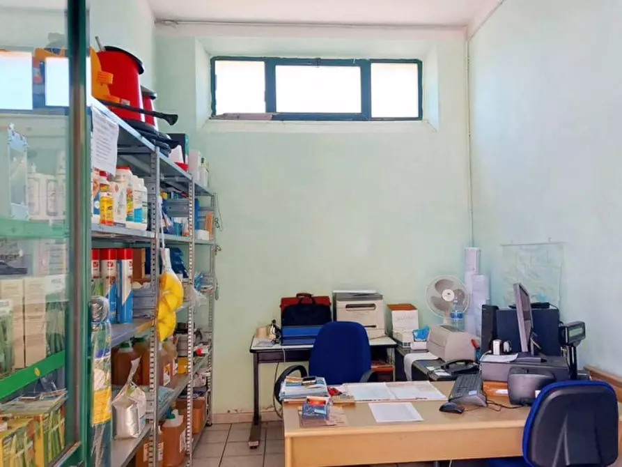 Immagine 6 di Capannone industriale in vendita  in Piazza Grazia Deledda, N. 15-17 a Mandas