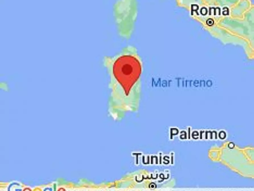 Immagine 23 di Capannone industriale in vendita  in Piazza Grazia Deledda, N. 15-17 a Mandas