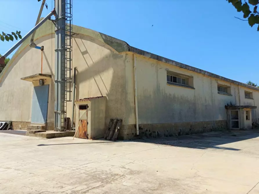 Immagine 7 di Magazzino in vendita  in Via Sant'Amatore, N. snc a Gesico