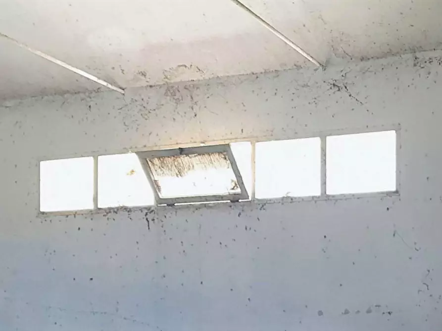 Immagine 8 di Magazzino in vendita  in Via Sant'Amatore, N. snc a Gesico