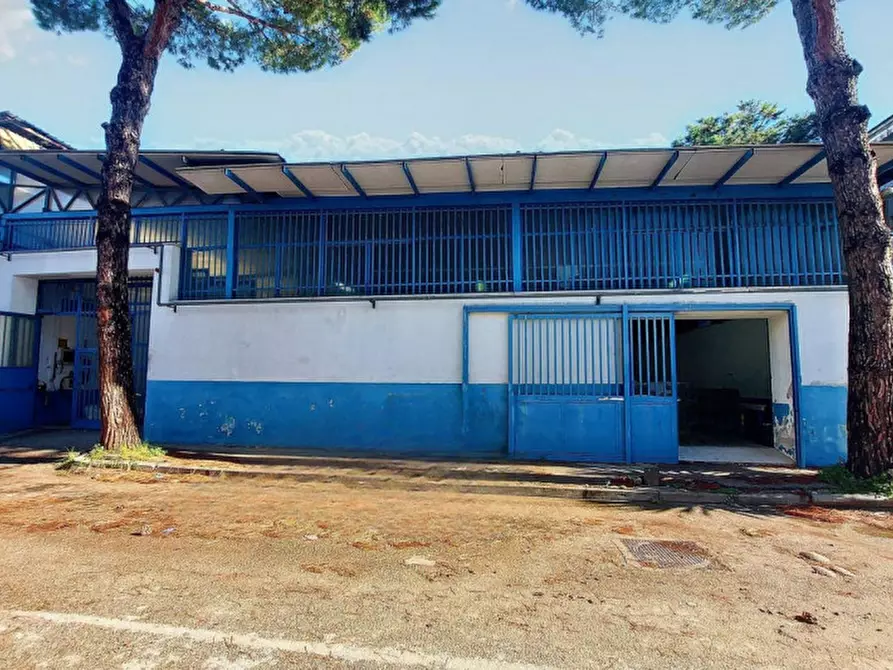 Immagine 2 di Capannone industriale in vendita  in Via Limitone Di Arzano IV Traversa, N. 51 a Napoli