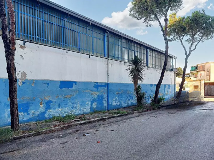 Immagine 20 di Capannone industriale in vendita  in Via Limitone Di Arzano IV Traversa, N. 51 a Napoli