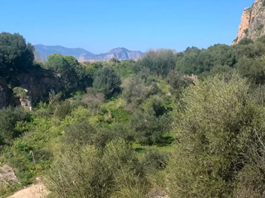 Immagine 2 di Terreno in vendita  in Monte Catalfano, N. snc a Bagheria