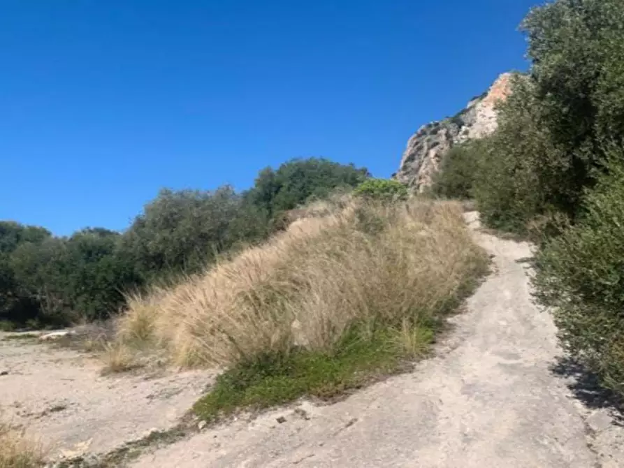 Immagine 6 di Terreno in vendita  in Monte Catalfano, N. snc a Bagheria
