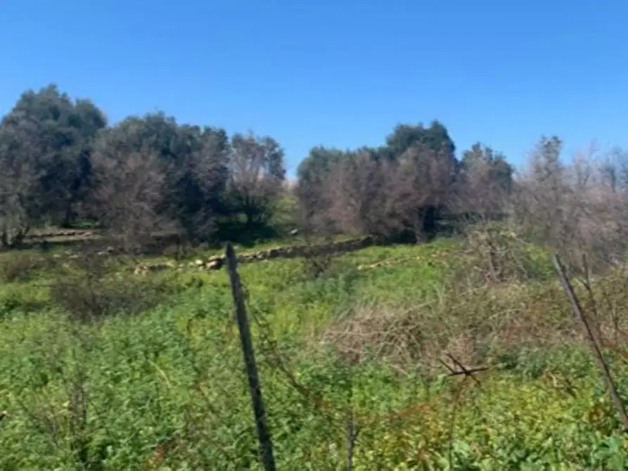 Immagine 10 di Terreno in vendita  in Monte Catalfano, N. snc a Bagheria