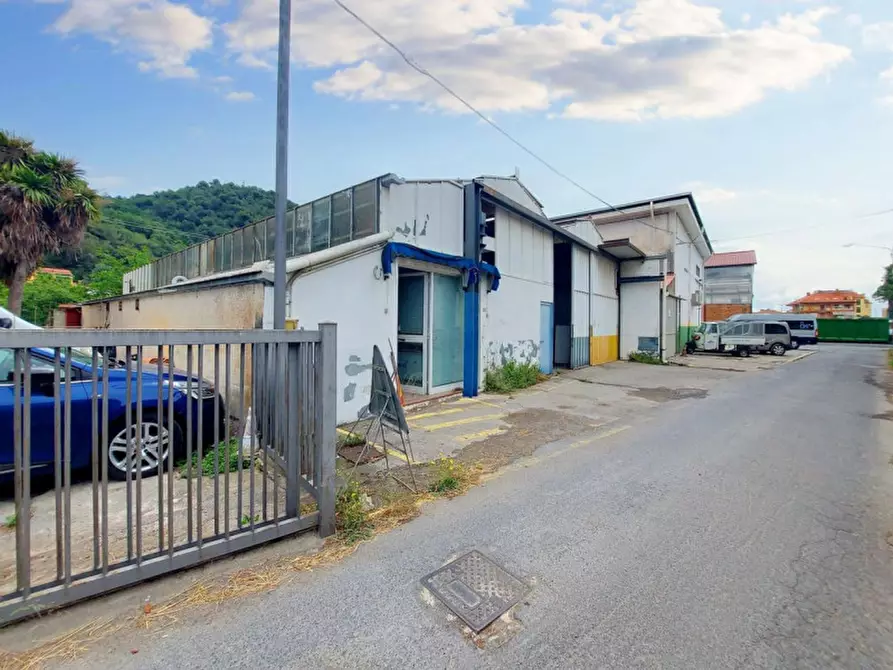 Immagine 3 di Capannone industriale in vendita  in Via Braie, N. snc a Camporosso