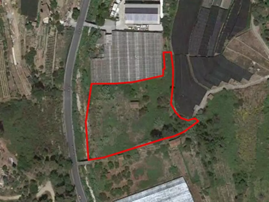 Immagine 1 di Terreno in vendita  in SP 59, N. snc a Vallecrosia