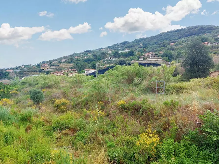 Immagine 3 di Terreno in vendita  in SP 59, N. snc a Vallecrosia