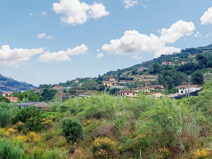 Immagine 4 di Terreno in vendita  in SP 59, N. snc a Vallecrosia