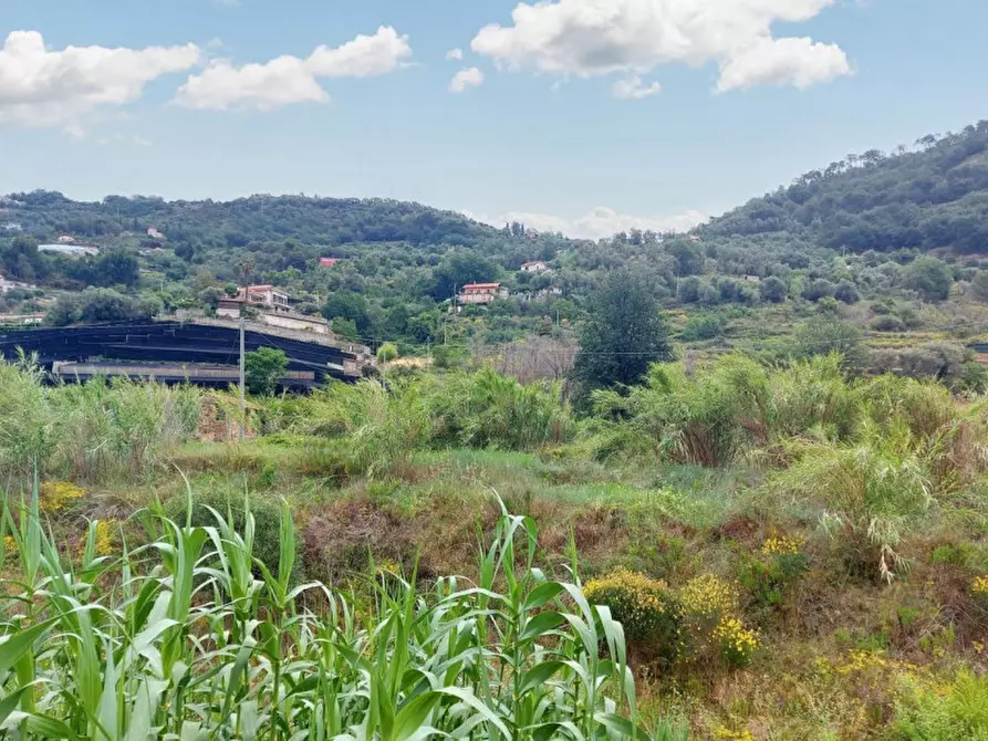 Immagine 9 di Terreno in vendita  in SP 59, N. snc a Vallecrosia