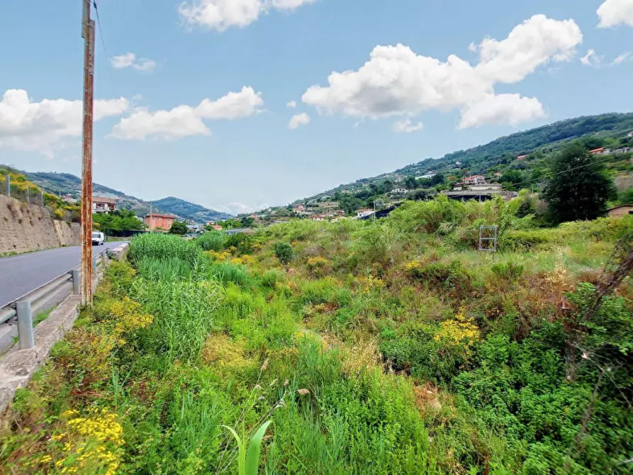 Immagine 10 di Terreno in vendita  in SP 59, N. snc a Vallecrosia