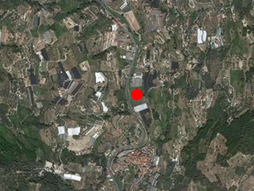 Immagine 16 di Terreno in vendita  in SP 59, N. snc a Vallecrosia