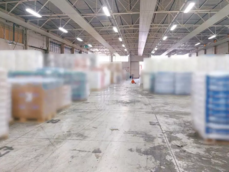 Immagine 4 di Capannone industriale in vendita  in Via Ludovico Ariosto, N. 9 a Magione