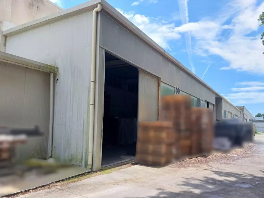 Immagine 5 di Capannone industriale in vendita  in Via Ludovico Ariosto, N. 9 a Magione