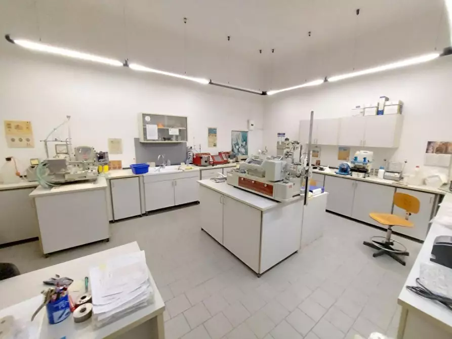 Immagine 8 di Capannone industriale in vendita  in via Cignani, N. 4 a San Giuliano Terme