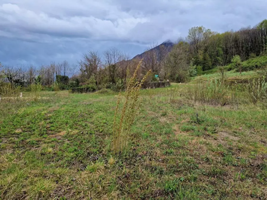 Immagine 5 di Terreno in vendita  in Via Riello, N. snc a Velo D'astico