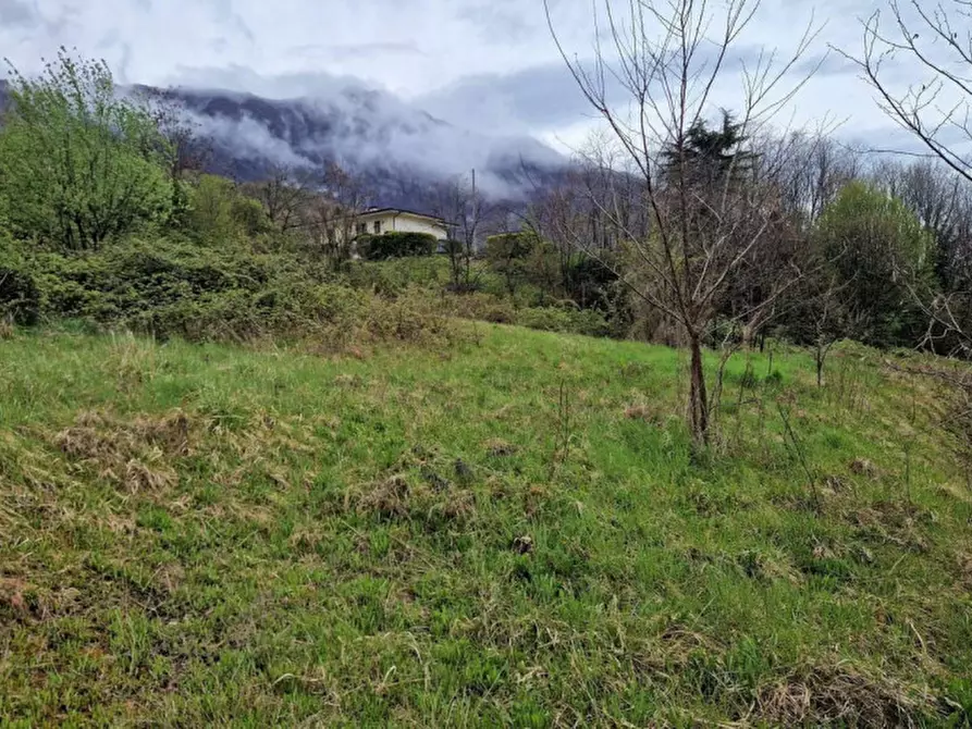 Immagine 8 di Terreno in vendita  in Via Riello, N. snc a Velo D'astico