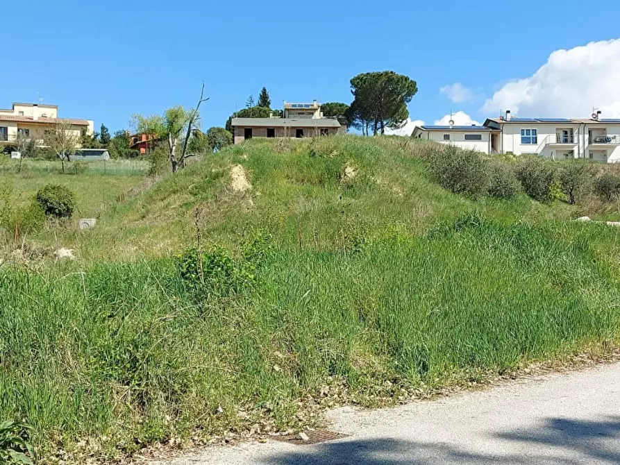 Immagine 3 di Terreno in vendita  in loc. Collicelli, N. snc a Spoleto