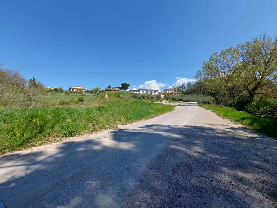 Immagine 4 di Terreno in vendita  in loc. Collicelli, N. snc a Spoleto