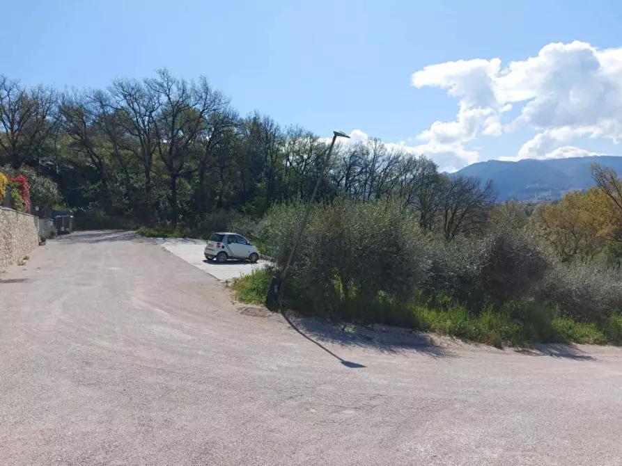 Immagine 5 di Terreno in vendita  in loc. Collicelli, N. snc a Spoleto