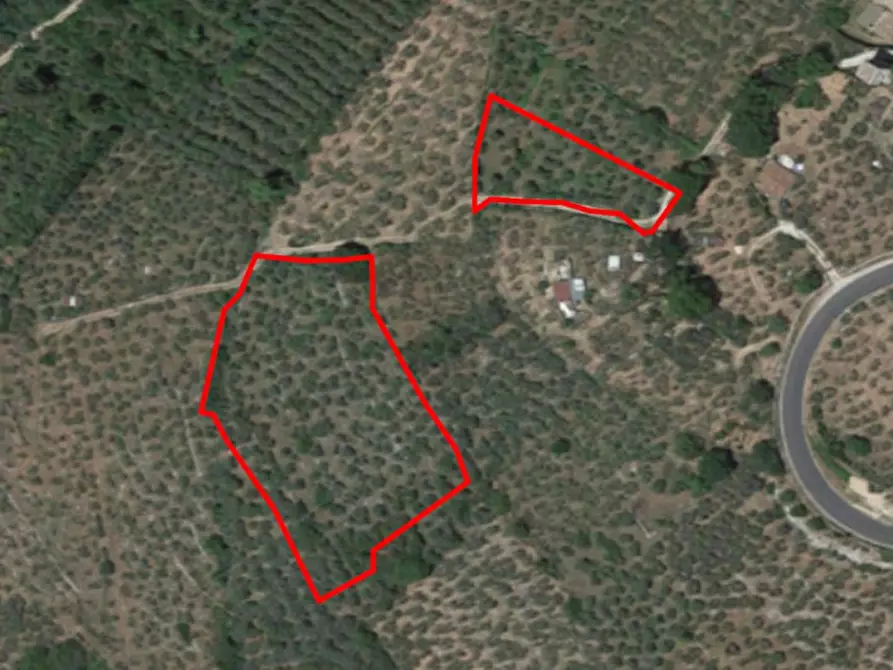 Immagine 1 di Terreno in vendita  in Via delle Torrette, N. snc a Campello Sul Clitunno