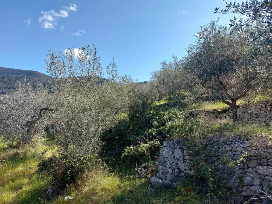 Immagine 3 di Terreno in vendita  in Via delle Torrette, N. snc a Campello Sul Clitunno