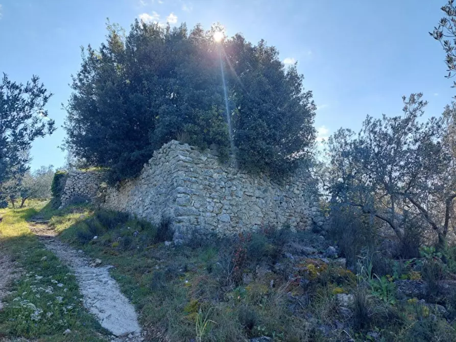 Immagine 4 di Terreno in vendita  in Via delle Torrette, N. snc a Campello Sul Clitunno