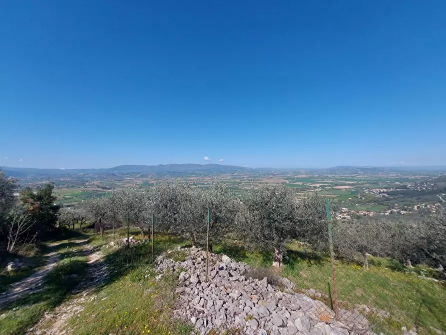 Immagine 5 di Terreno in vendita  in Via delle Torrette, N. snc a Campello Sul Clitunno