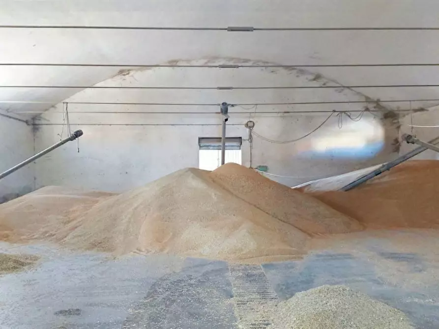 Immagine 2 di Capannone industriale in vendita  in Viale dei Platani, N. 29-31 a Sardara