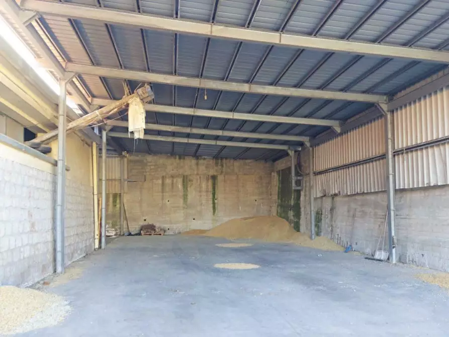 Immagine 3 di Capannone industriale in vendita  in Viale dei Platani, N. 29-31 a Sardara