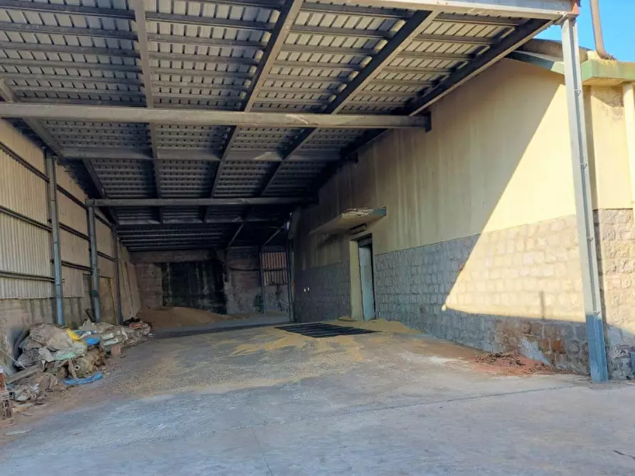 Immagine 5 di Capannone industriale in vendita  in Viale dei Platani, N. 29-31 a Sardara